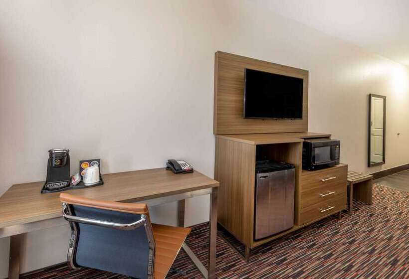 هتل La Quinta By Wyndham Wichita Falls   Msu Area