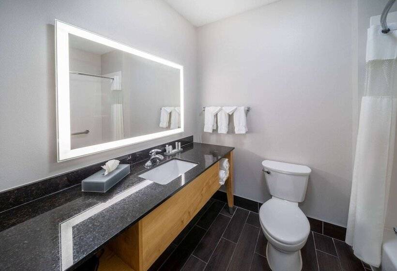 هتل La Quinta By Wyndham Wichita Falls   Msu Area