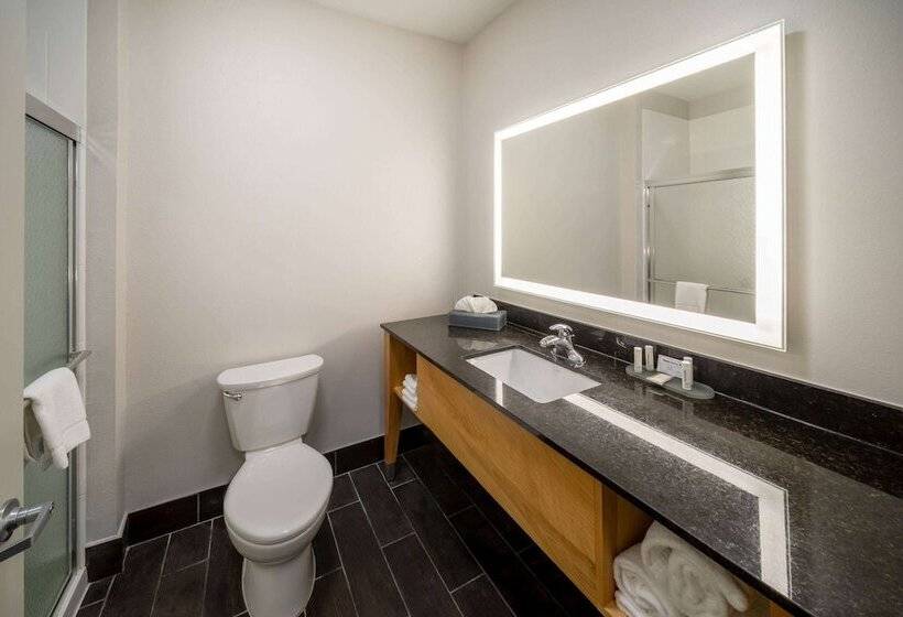هتل La Quinta By Wyndham Wichita Falls   Msu Area