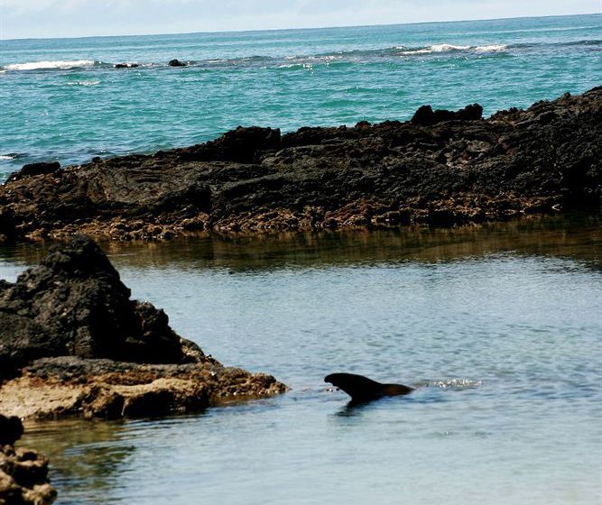 فندق Red Mangrove Lodge Isabela