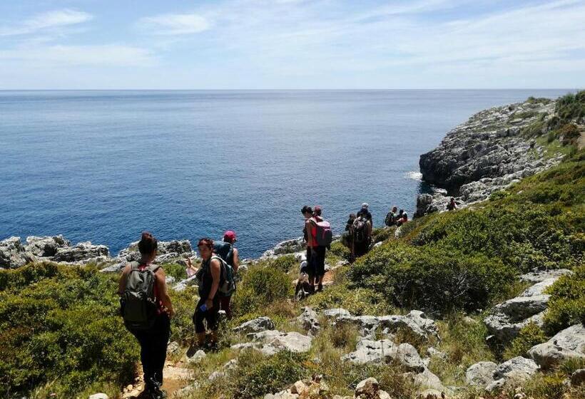 酒店 Volito Rural Experience