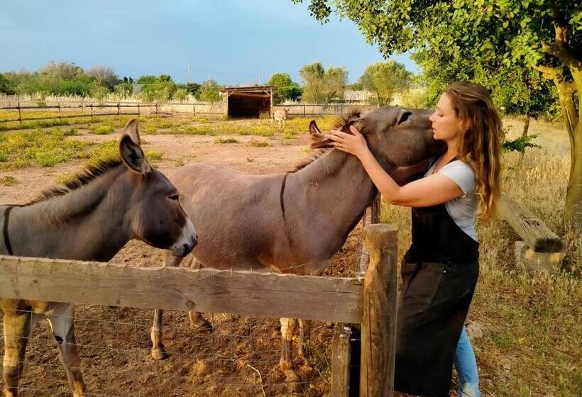 酒店 Volito Rural Experience