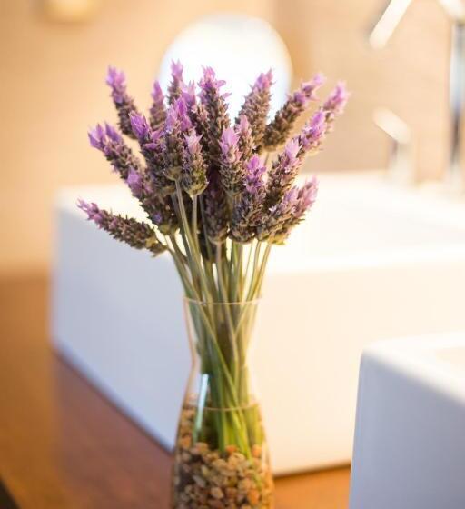 استراحتگاه Grace Cafayate