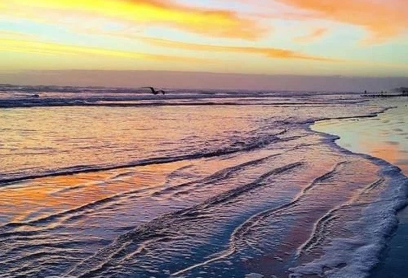 مبيت وإفطار Black Dolphin Inn