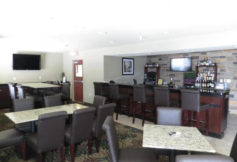 בית מלון כפרי Cobblestone Inn & Suites   Harper