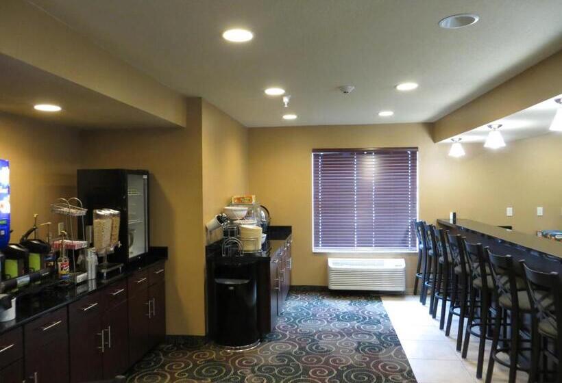 בית מלון כפרי Cobblestone Inn & Suites   Harper