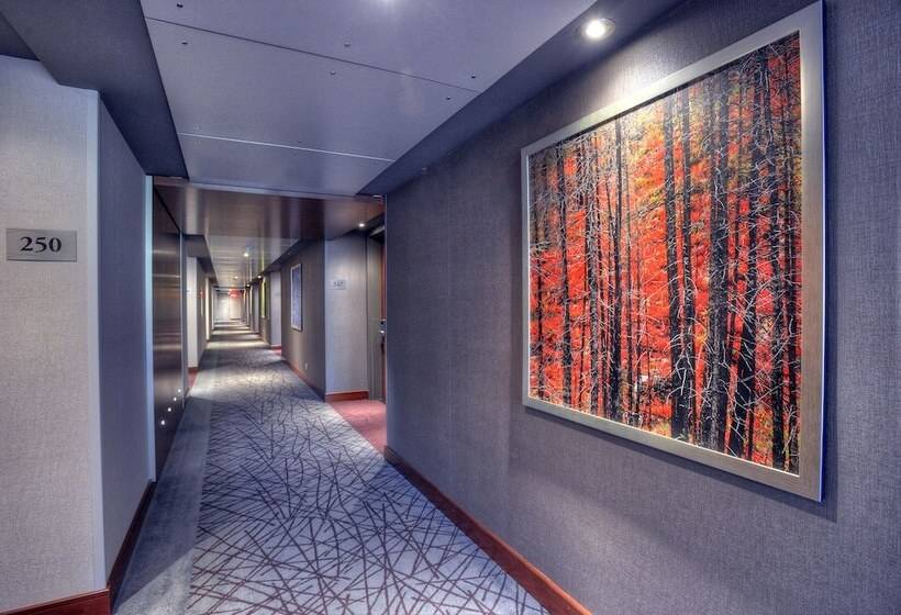 בית מלון כפרי Forestel