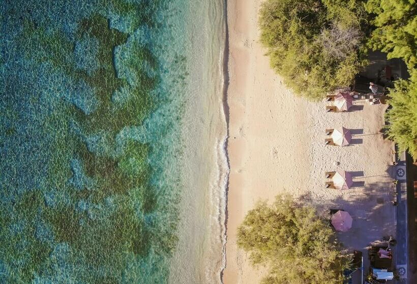 Fotos del hotel Vamana Resort:  18