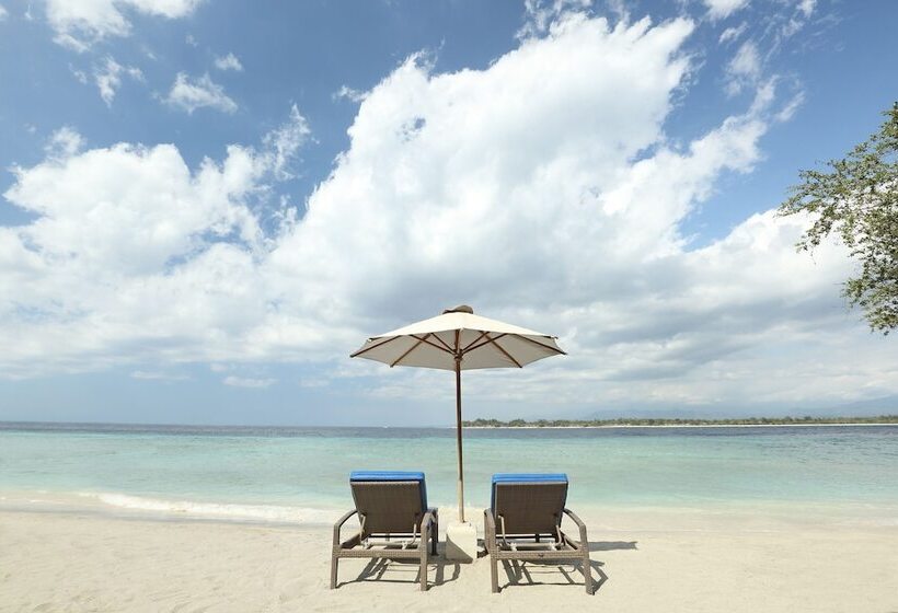 Fotos del hotel Vamana Resort:  17