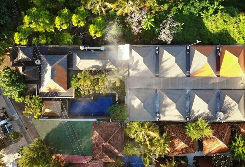 Fotos del hotel Vamana Resort:  16