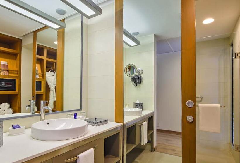 Fotos del hotel Aloft Ahmedabad Sg Road:  16