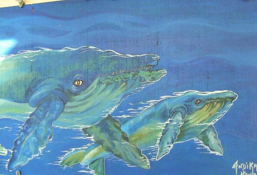 پانسیون Kona Hawaii Guest House A Unique Hawaii Experience
