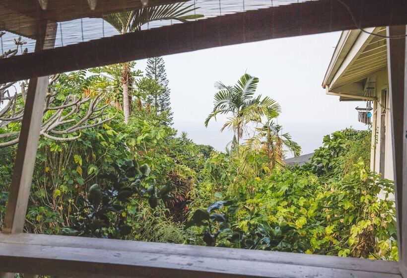 پانسیون Kona Hawaii Guest House A Unique Hawaii Experience