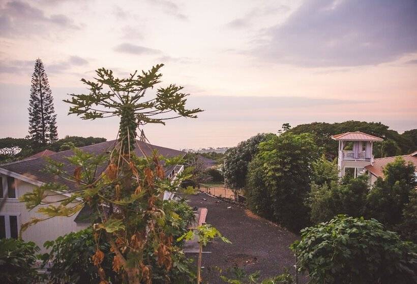 پانسیون Kona Hawaii Guest House A Unique Hawaii Experience