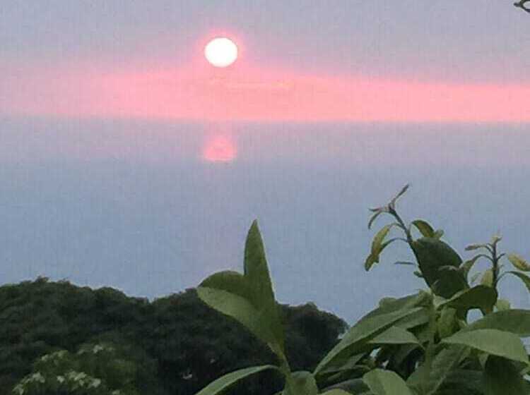 پانسیون Kona Hawaii Guest House A Unique Hawaii Experience