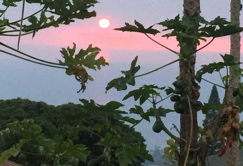 پانسیون Kona Hawaii Guest House A Unique Hawaii Experience