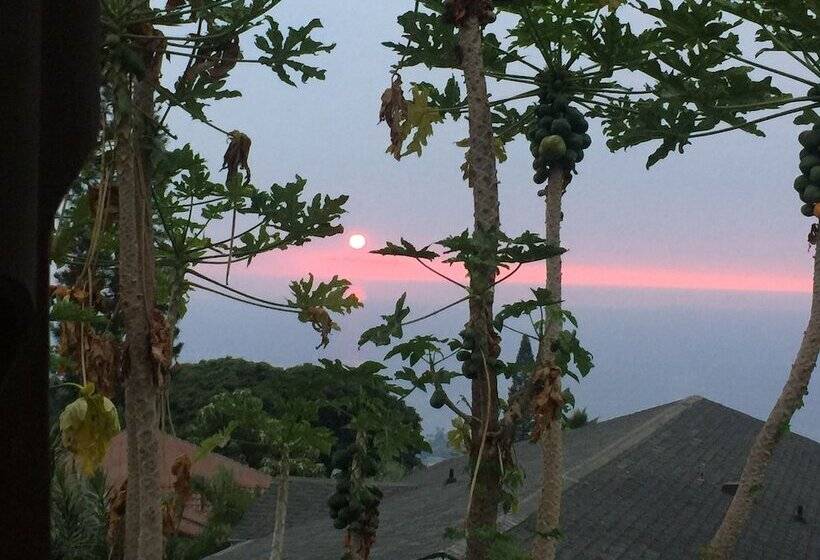 پانسیون Kona Hawaii Guest House A Unique Hawaii Experience