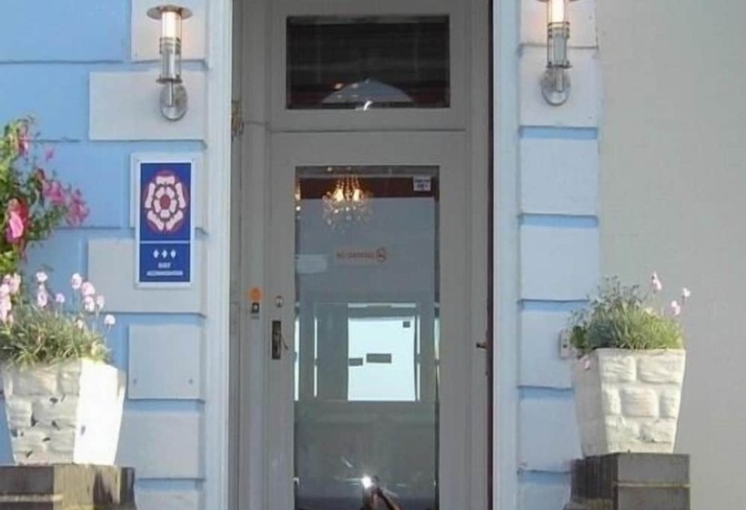 بنسيون The Greno