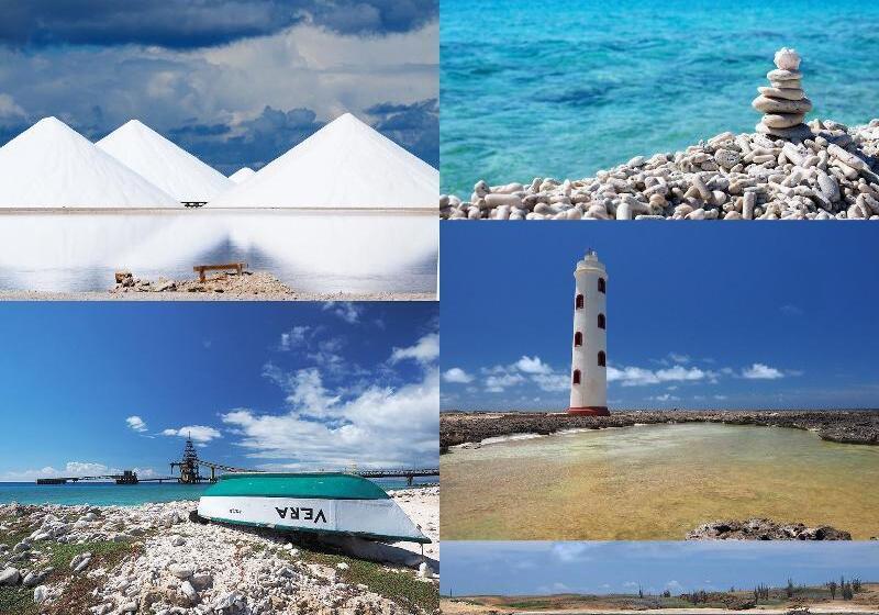 استراحتگاه Oasis Guesthouse, Boutique Style