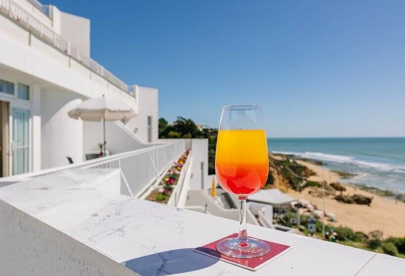 Monicca Collection Suites and Residences