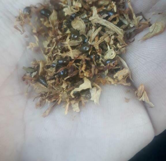 فندق Hassan Bizi Ketama