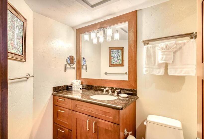 בית מלון כפרי Kaanapali Shores 804