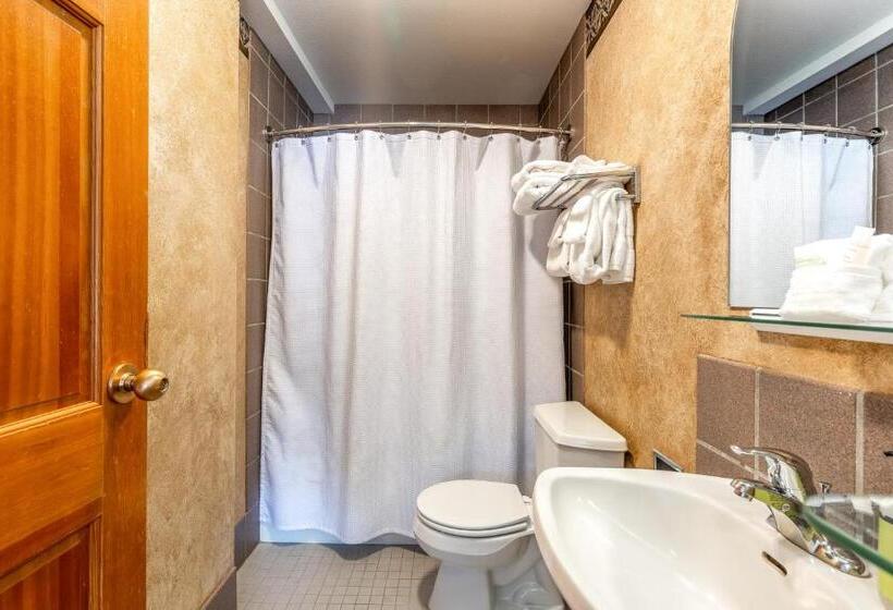 فندق Shoshone Condo 1950