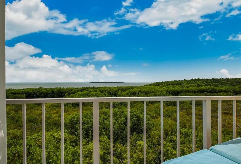 فندق Aqua Vista