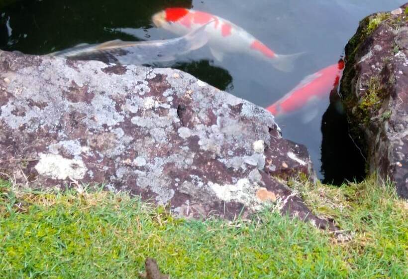 فندق Nouka Minshuku Kajika