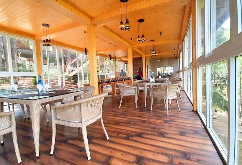 فندق The Woods Retreat