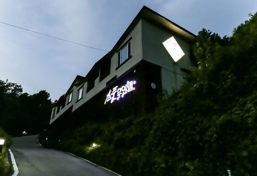 هتل Jeungpyeong Sopung