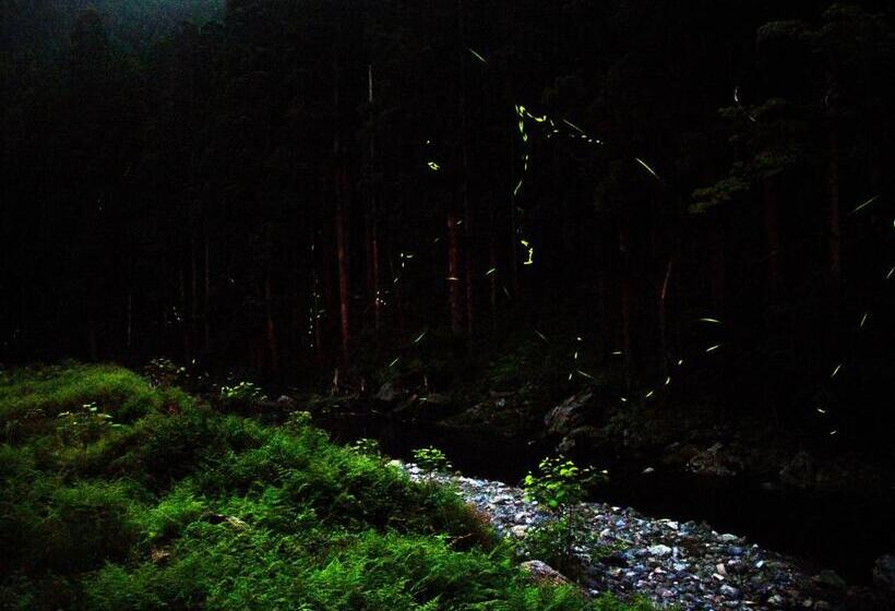 Отель Miyama Nature And Culture Village Kajikaso