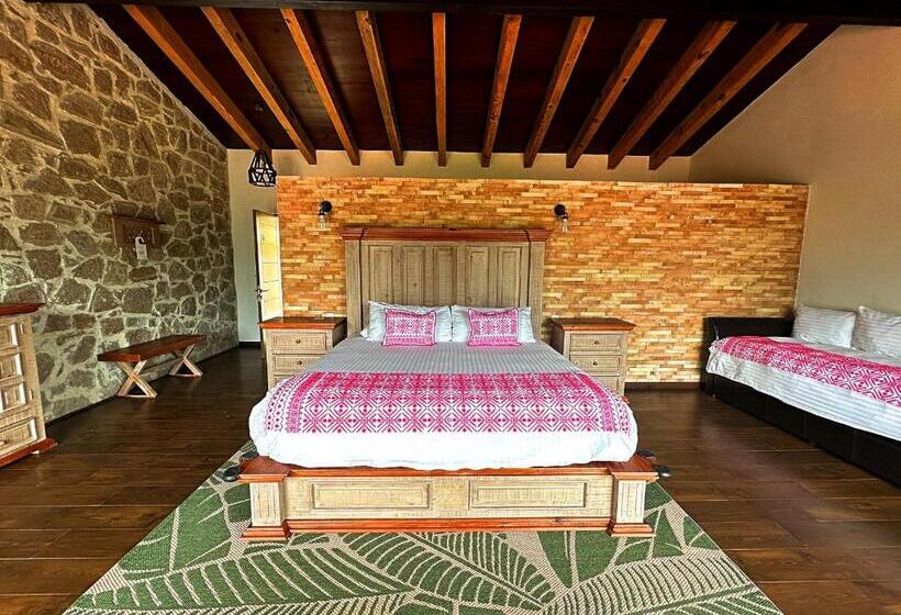 فندق ريفى Casa Xaa