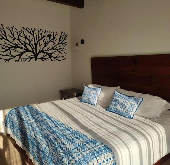 فندق ريفى Casa Xaa