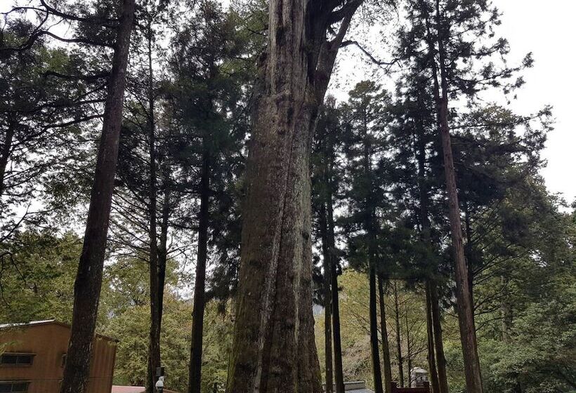 هتل Ming Yang B&b