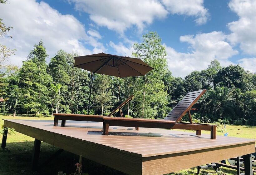 호텔 The Bliss Khao Sok Boutique Lodge