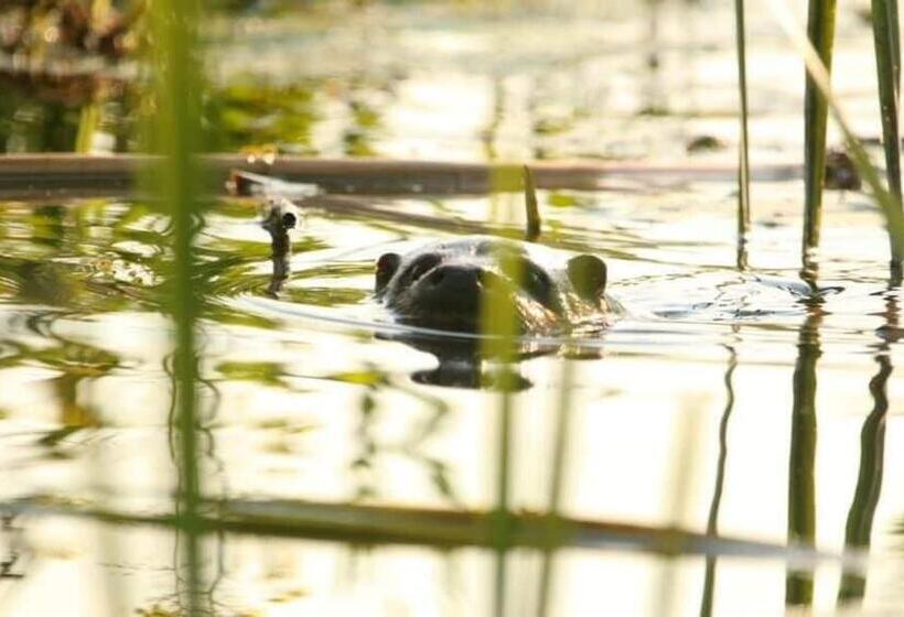 הוסטל Gościniec Biebrzański