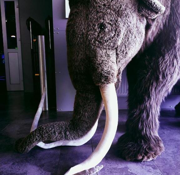 ユースホステル Noclegi Jurapark Krasiejów