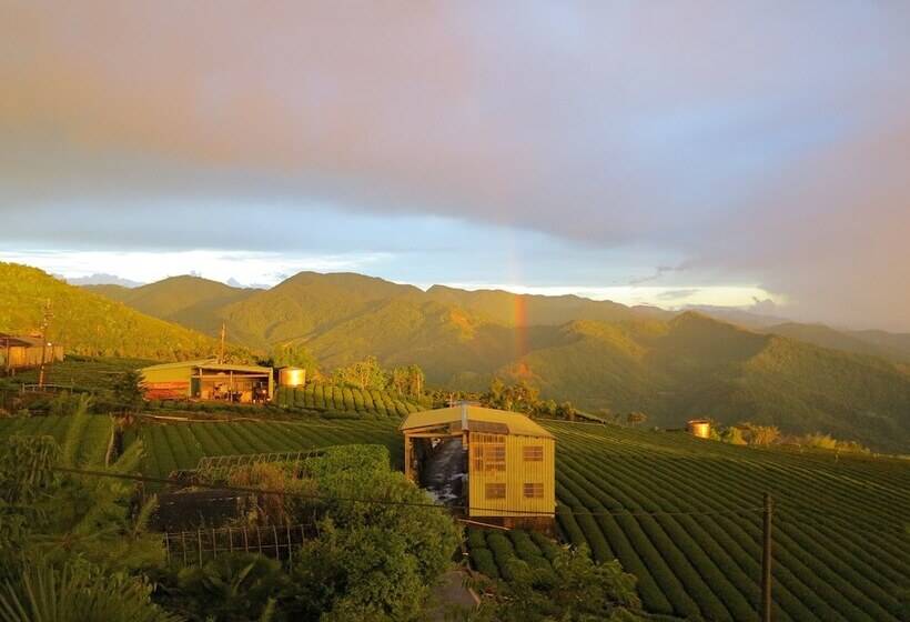 هتل Alishan B&b Yunmingi