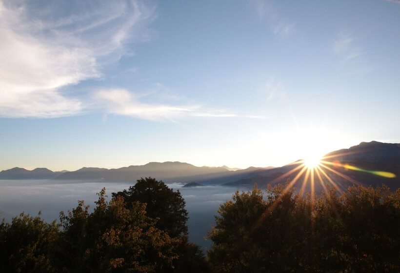 هتل Alishan B&b Yunmingi