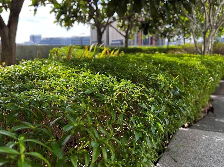 هتل Mercure Living Putrajaya