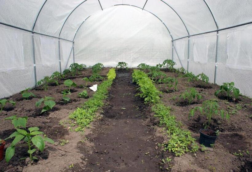 בית מלון כפרי Agroturystyka U Iwonki