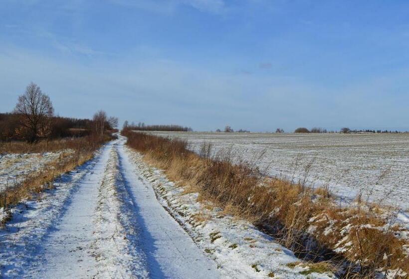 酒店 Gospodarstwo Agroturystyczne Chata Na Izerskim Wzgórzu
