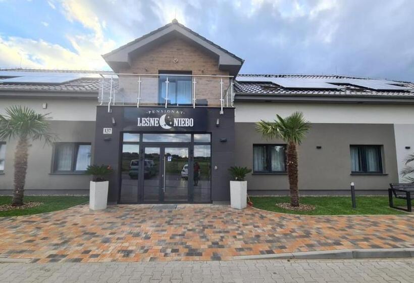 بنسيون Leśne Niebo