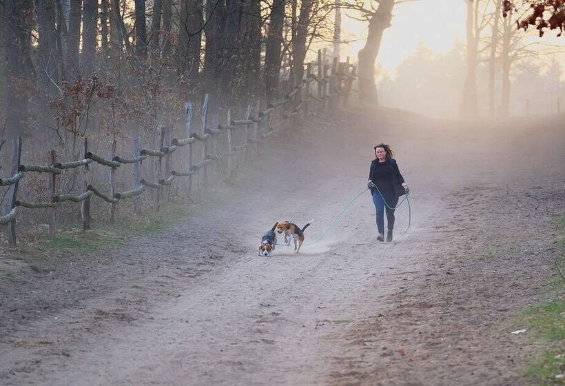 הוסטל Stary Młyn Strzeszyn   Soft All Inclusive