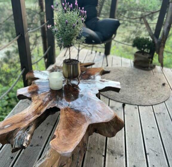 تختخواب و صبحانه My Tree Home Warszawa, Macierowe Bagno