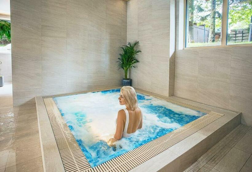 تختخواب و صبحانه Villa Cannes Resort Zakopane   Grota Solna, Sauna Fińska