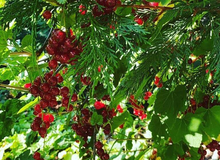 پانسیون Palac Osowo Gostynskie