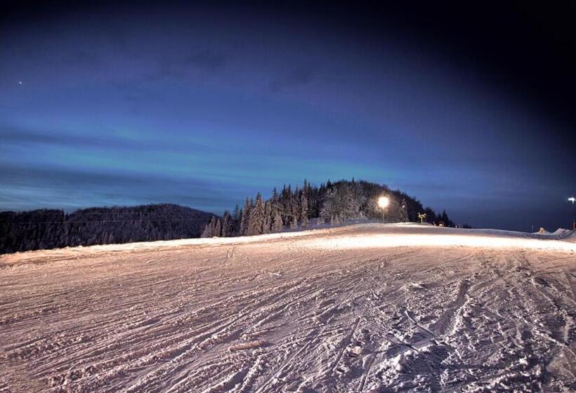 膳宿费 Willa Monika