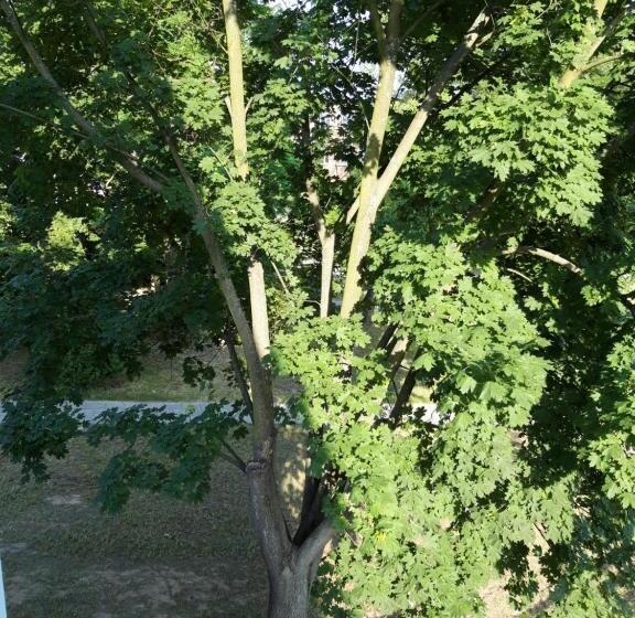 Apartamenty Polna